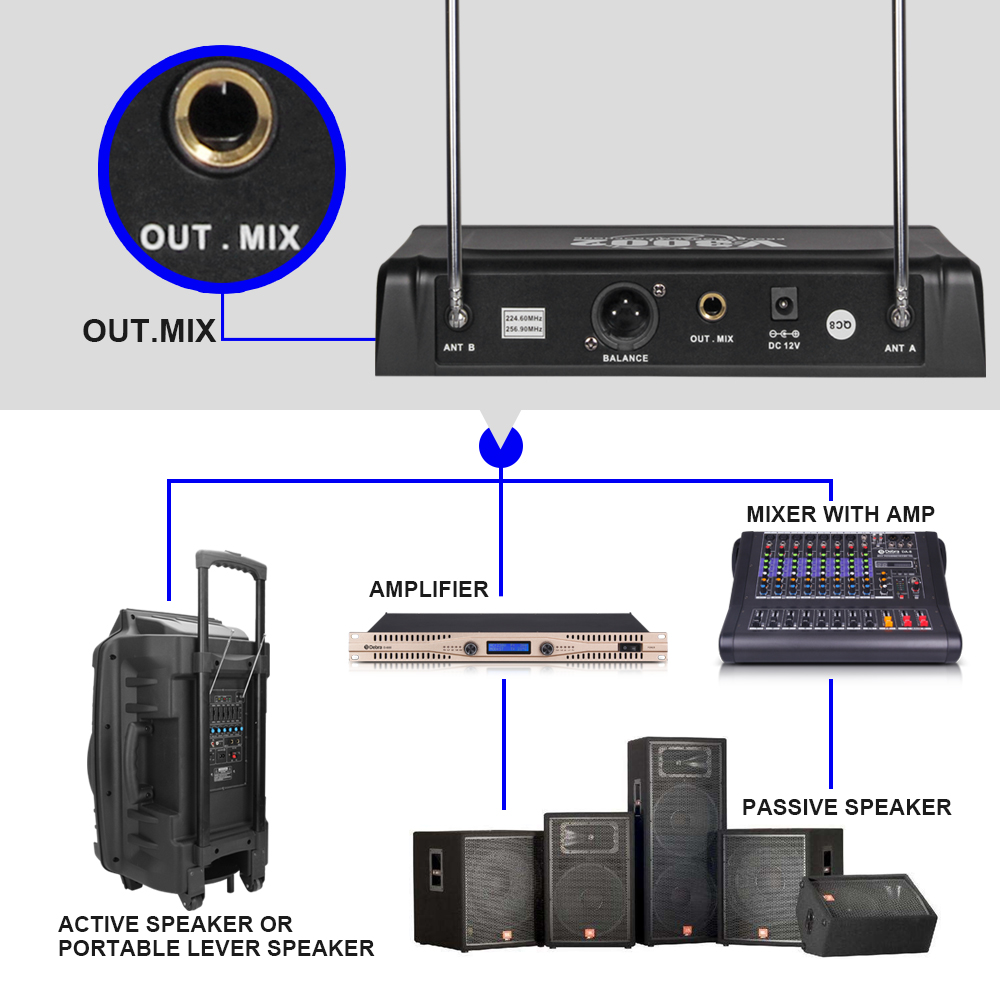 V3002P Wireless Microphone