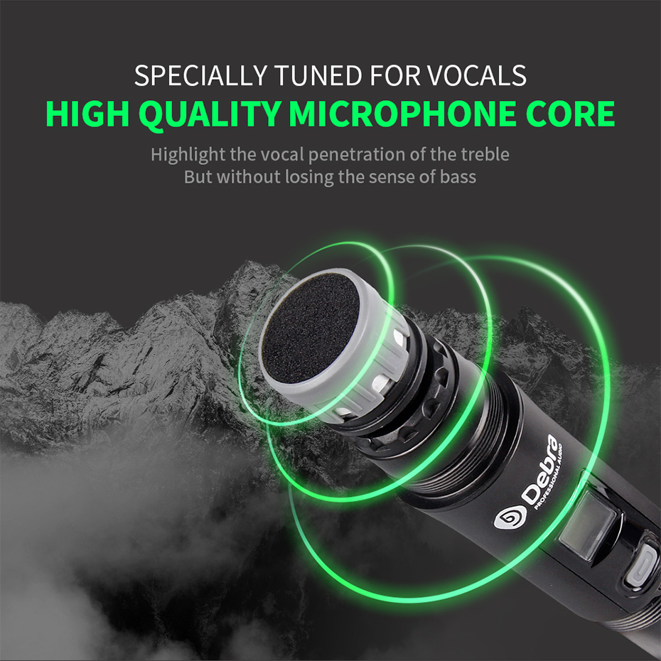 TD-220 Professional True Diversity Wireless Microphone System（2Handheld Mic）